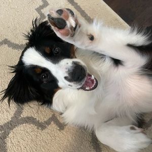 Meet your Posher, Emily